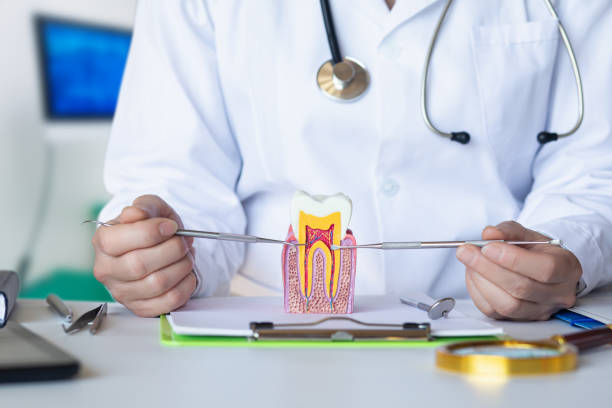 Best Emergency Root Canal Therapy in Archer City, TX